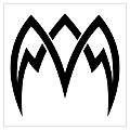 tattoo-modeles-tribal-noir-et-blanc_148